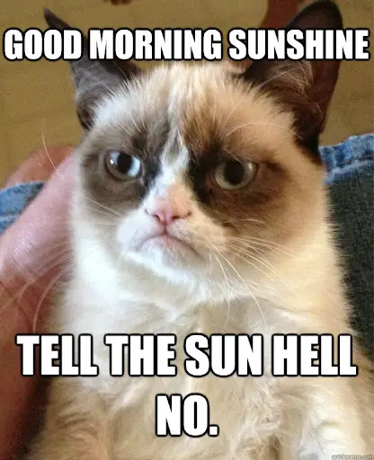 Good Morning Sunshine Memes: