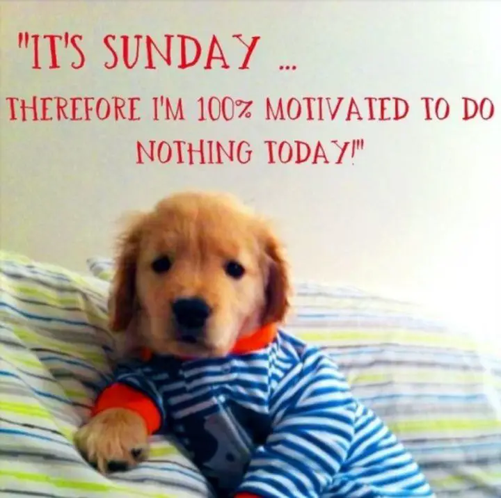 Best Good Morning Happy Sunday Ideas On Pinterest Good