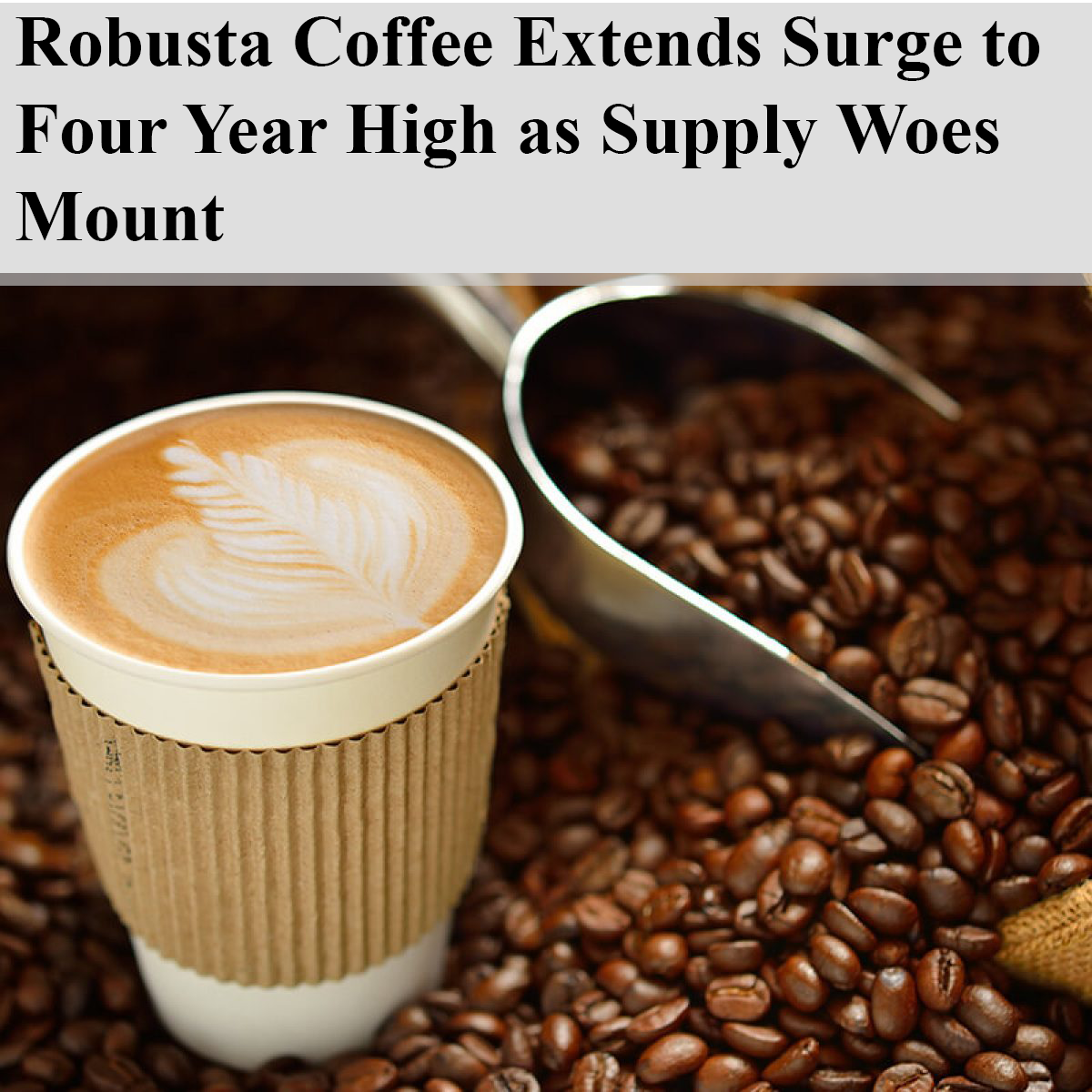 Robusta Coffee Extends Surge to Four Year High as Supply Woes Mount