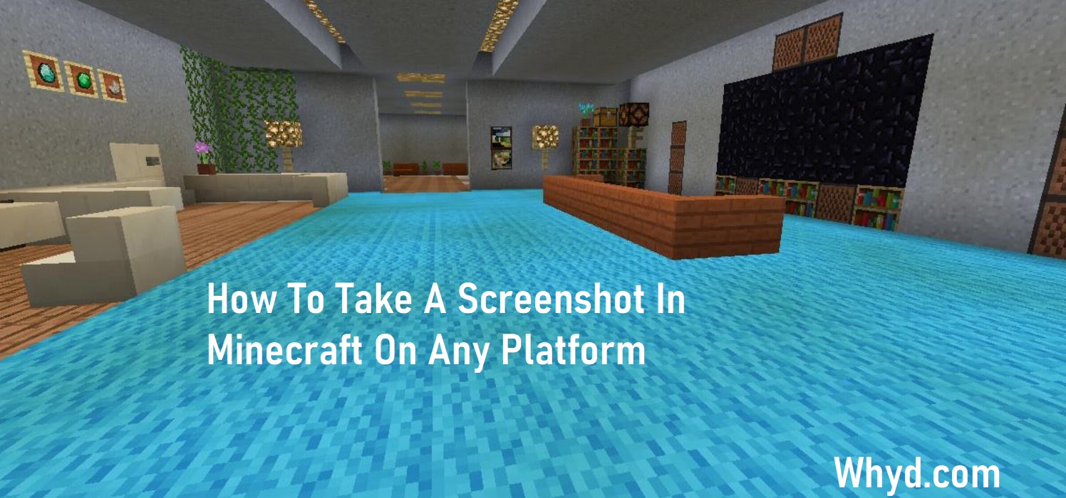 Screenshot In Minecraft On Any Platform