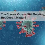 The Corona Virus is Still Mutating, But Does It Matter?