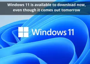 Windows 11