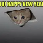 Happy New Year Memes