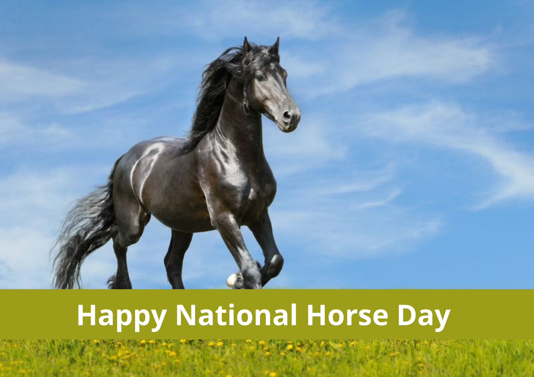 National Horse Day National Horse Day 2021 