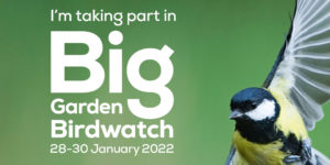 Big Garden Birdwatch