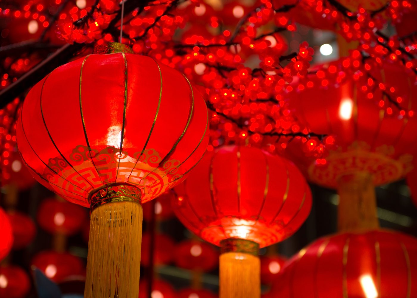 Chinese New Year Decorations