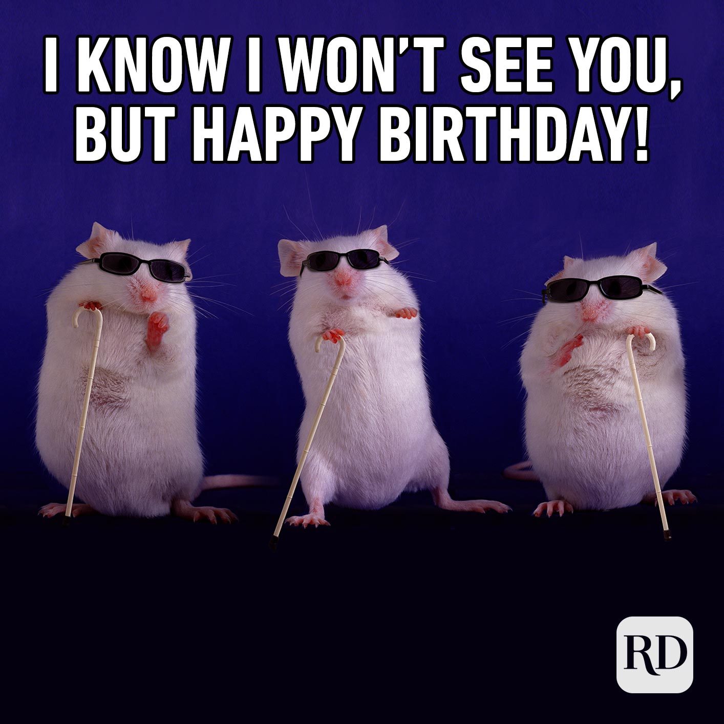 Funny Hilarious Happy Birthday Meme