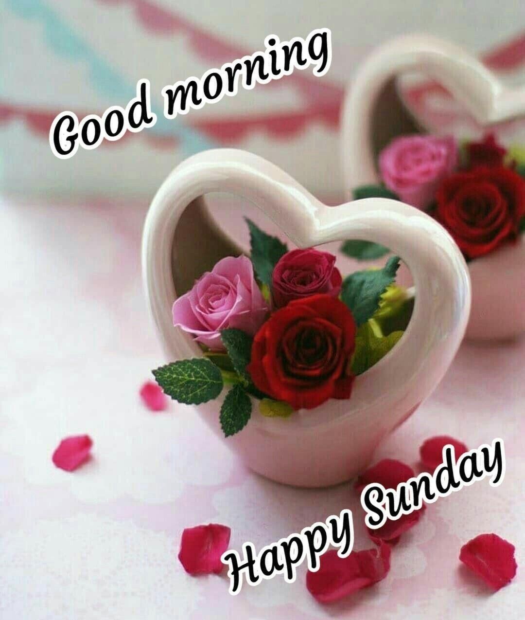 Good Morning Happy Sunday