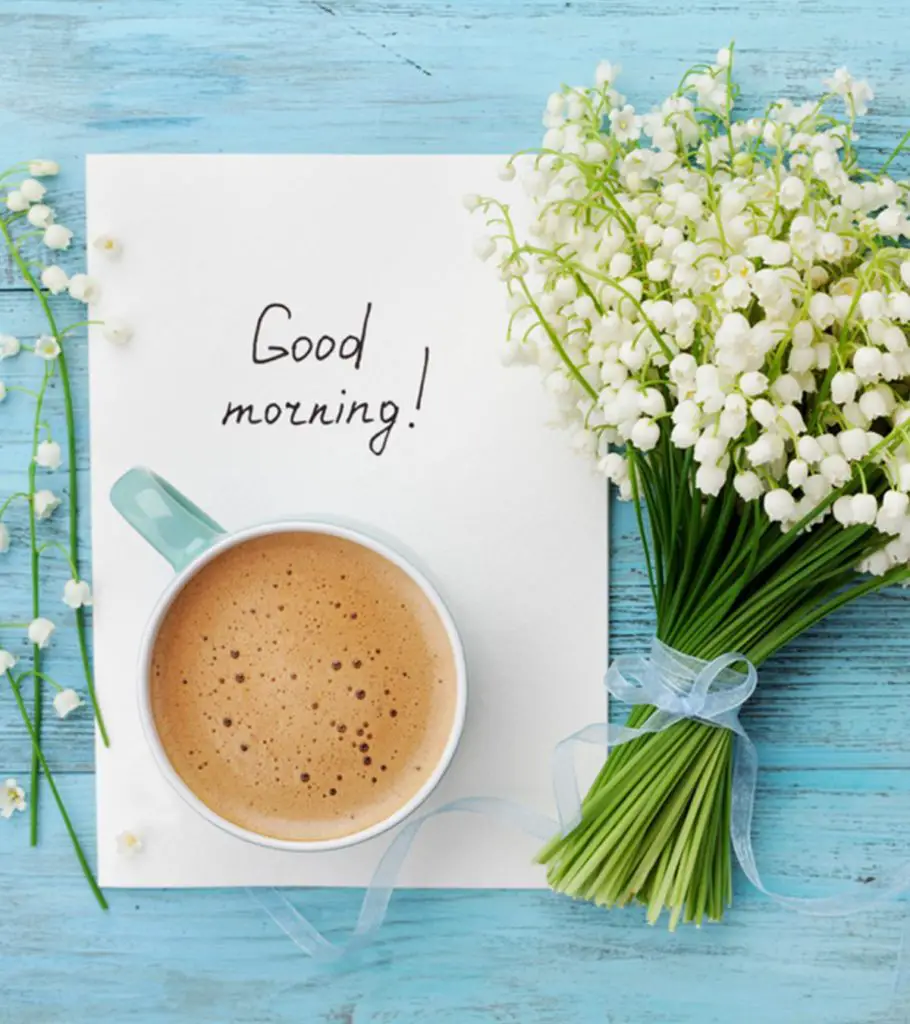 20+ Beautiful Good Morning Images Collection