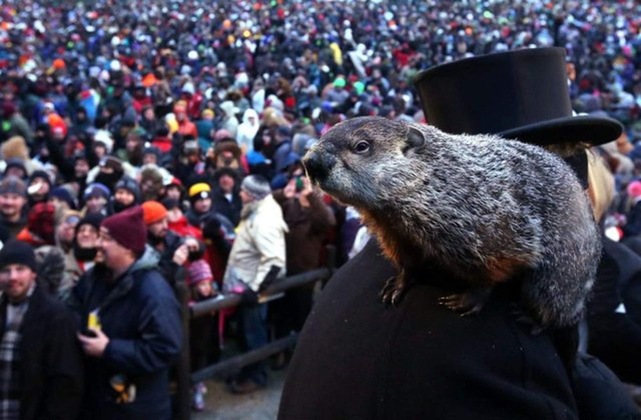 Groundhog Day 2022