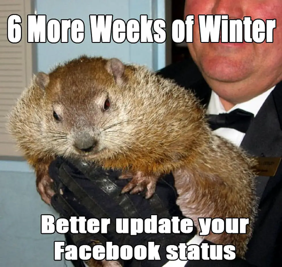 Groundhog Day meme: