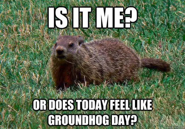 Groundhog Day meme: