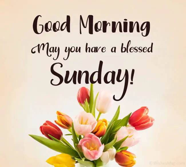 Happy Sunday Blessings: