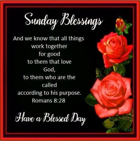 Happy Sunday Blessings: