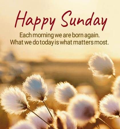 Happy Sunday Quotes