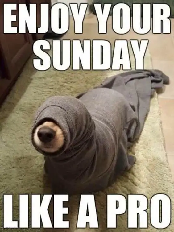Happy Sunday memes