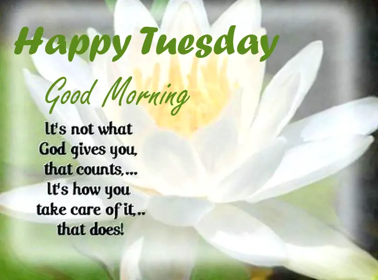 Happy Tuesday quotes