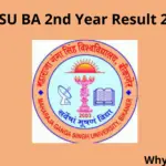 MGSU BA 2nd Year Result 2021