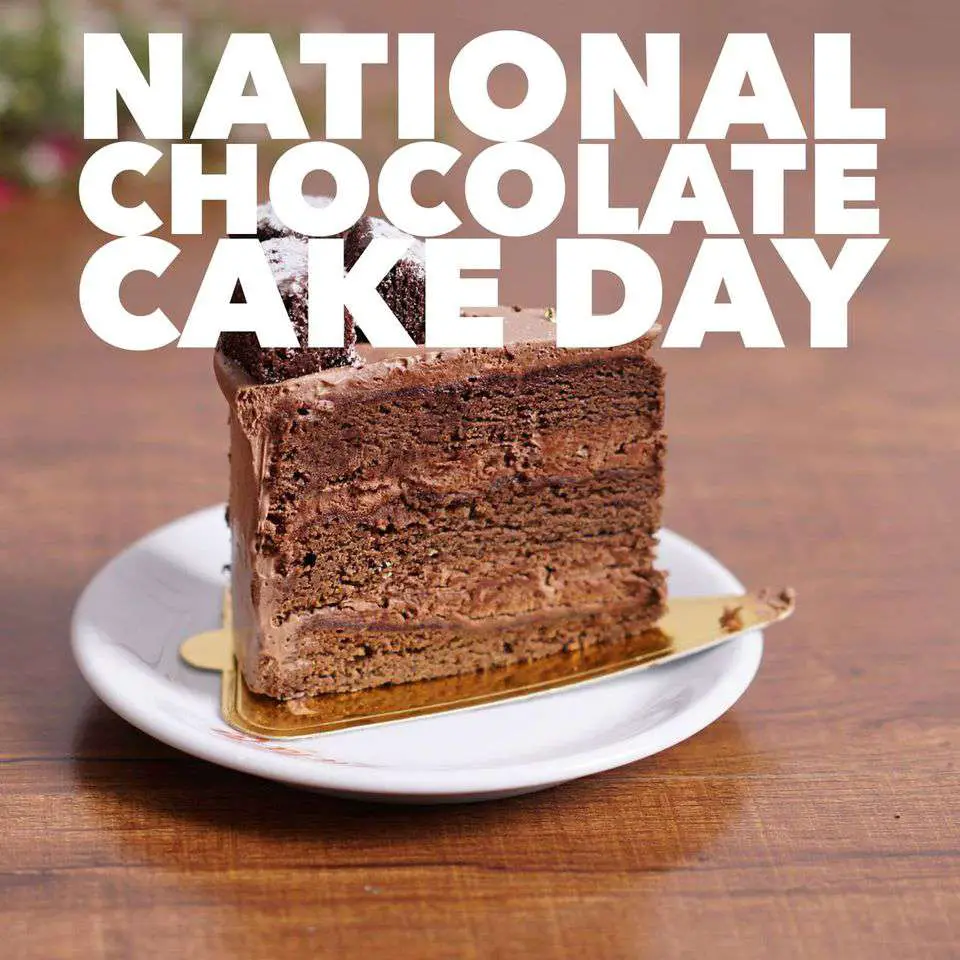 National Chocolate Cake Day 2022