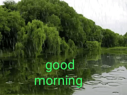 Nature Good Morning gifs