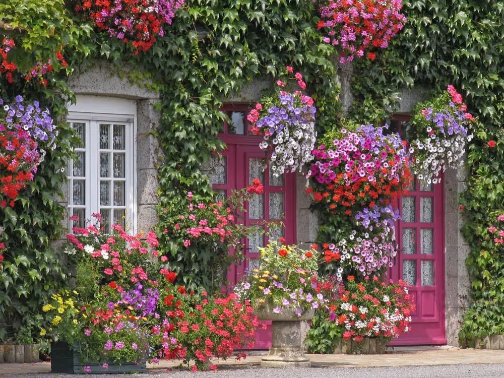 A Door with Flowers