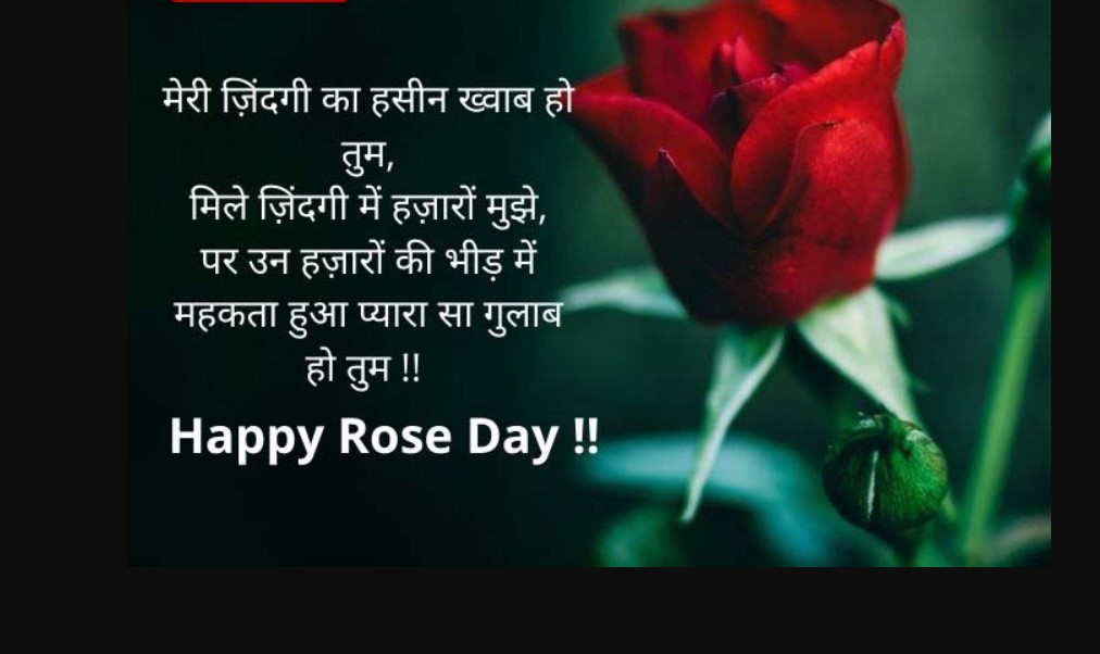 Happy Rose Day Shayari in Hindi 2022