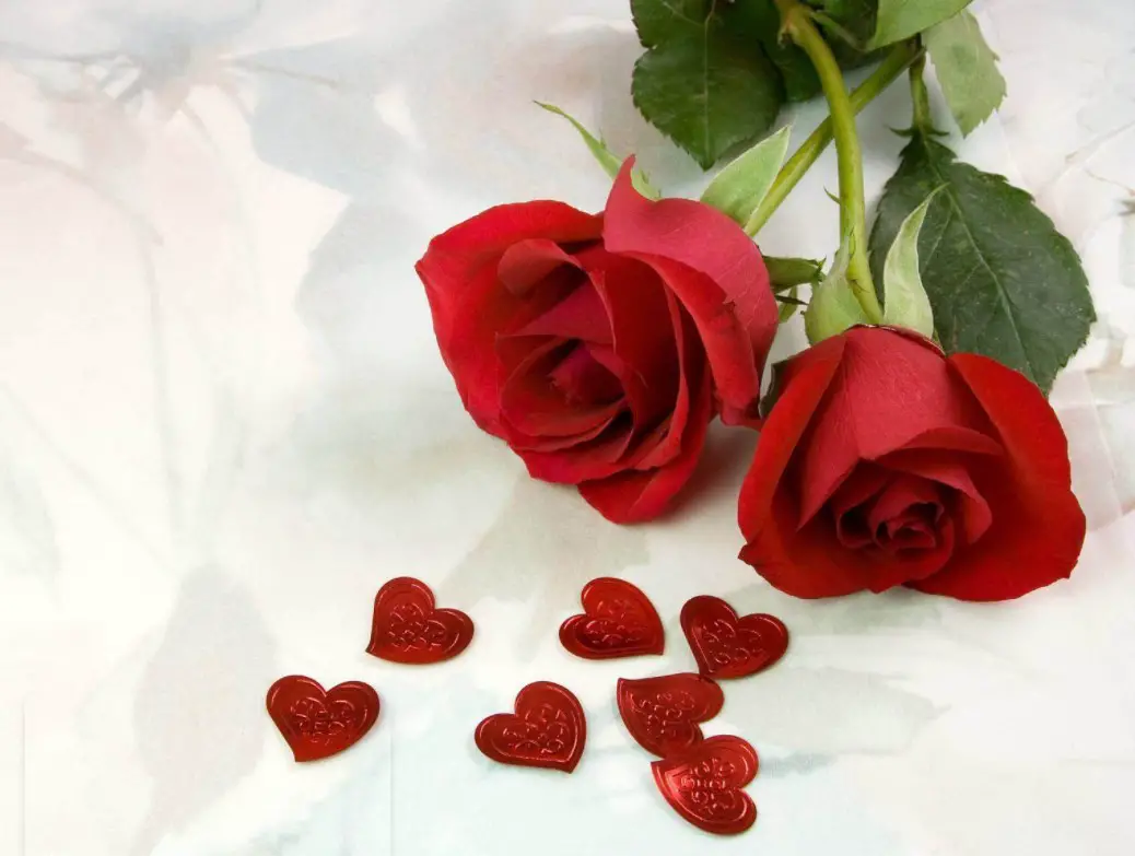 Love Rose Day Images