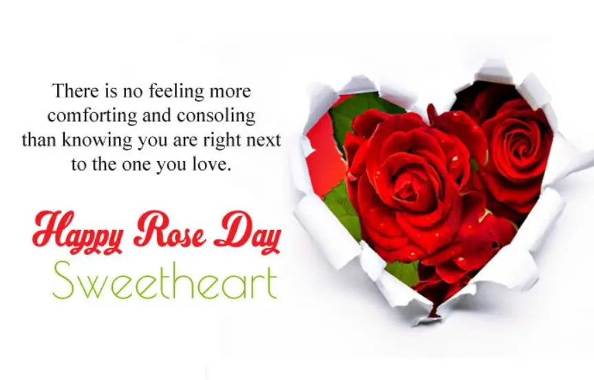 Romantic Rose Day 2022 Shayari