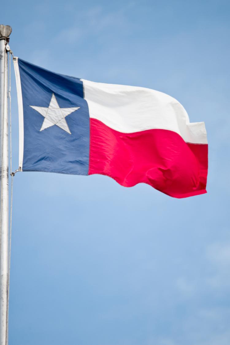 Texas Independence Day 2022