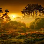 Embracing the Fortunate Dawn: Wednesday’s Invigorating Blessings