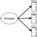 Exploring the Spectrum of Emotions: A GIF Journey