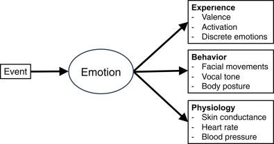 Exploring the Spectrum of Emotions: A GIF Journey