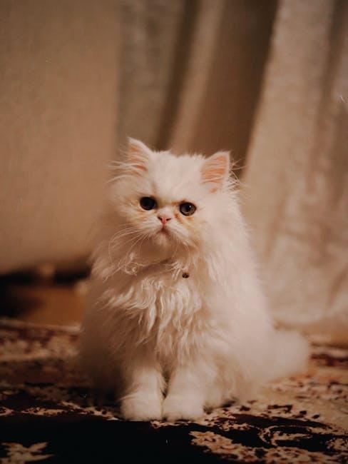 The Enduring Allure of Adorable Cat GIFs: An Investigation